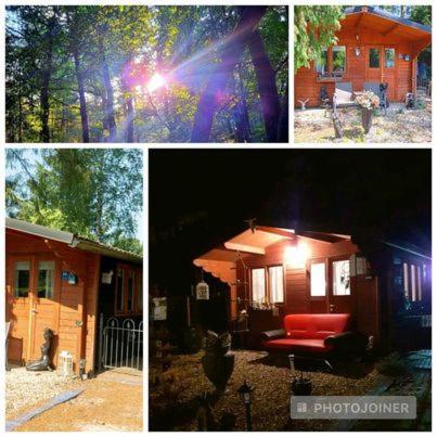 Chalet Op Een Rustig Park In De Natuur 푸텐 외부 사진