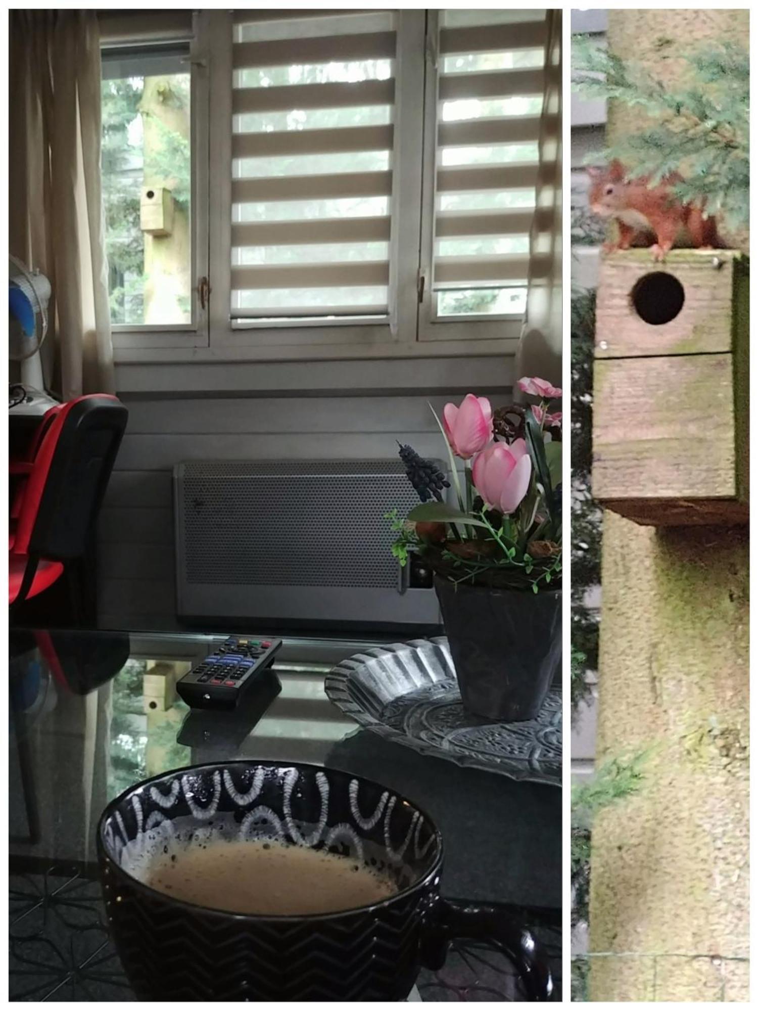 Chalet Op Een Rustig Park In De Natuur 푸텐 외부 사진