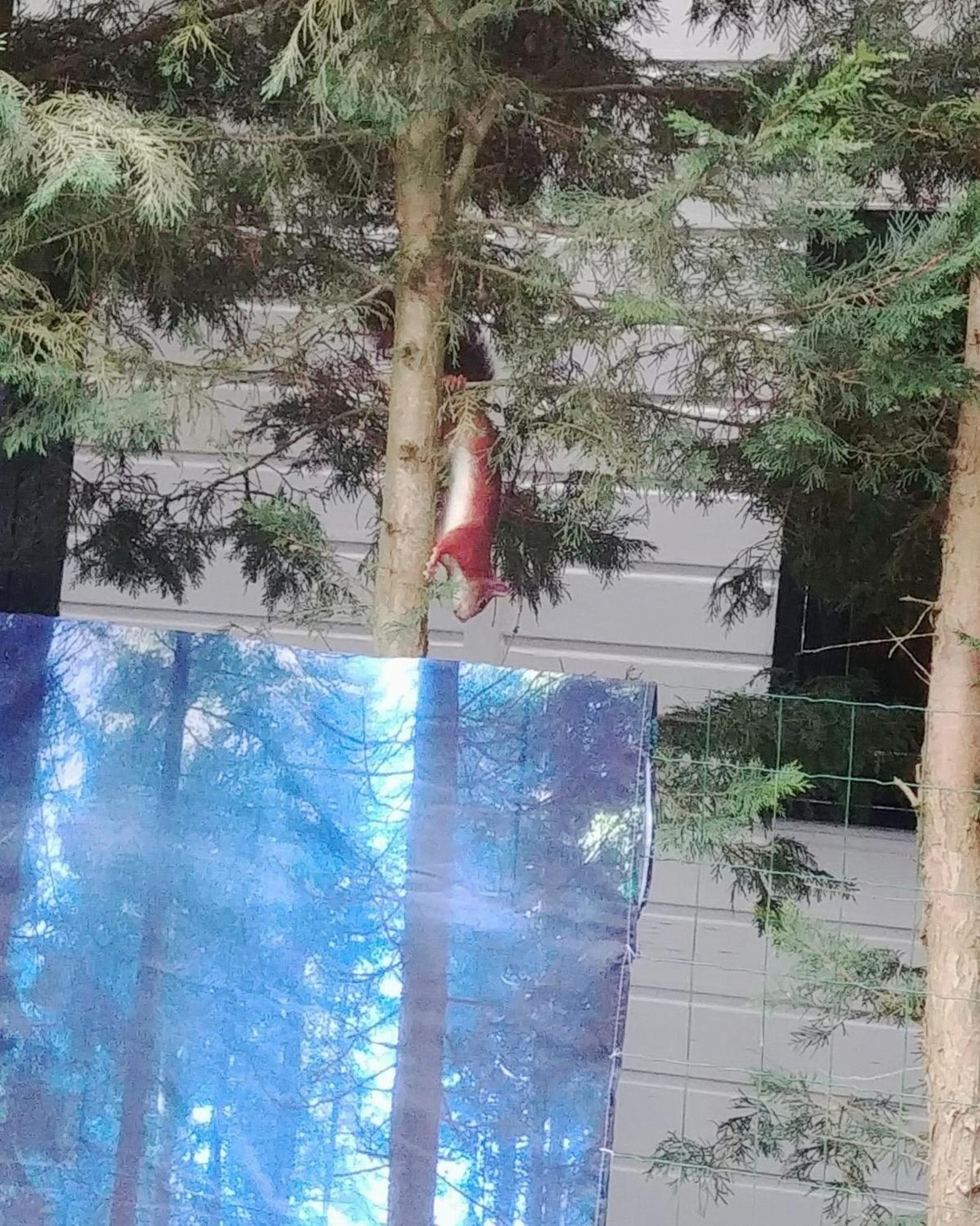 Chalet Op Een Rustig Park In De Natuur 푸텐 외부 사진