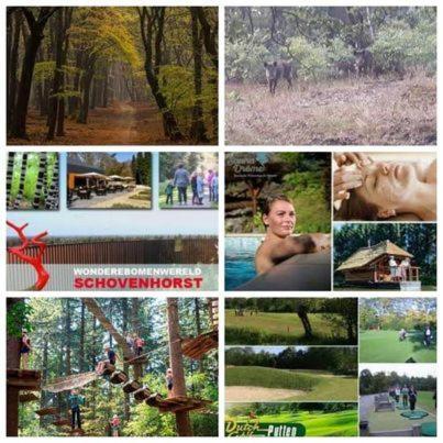 Chalet Op Een Rustig Park In De Natuur 푸텐 외부 사진